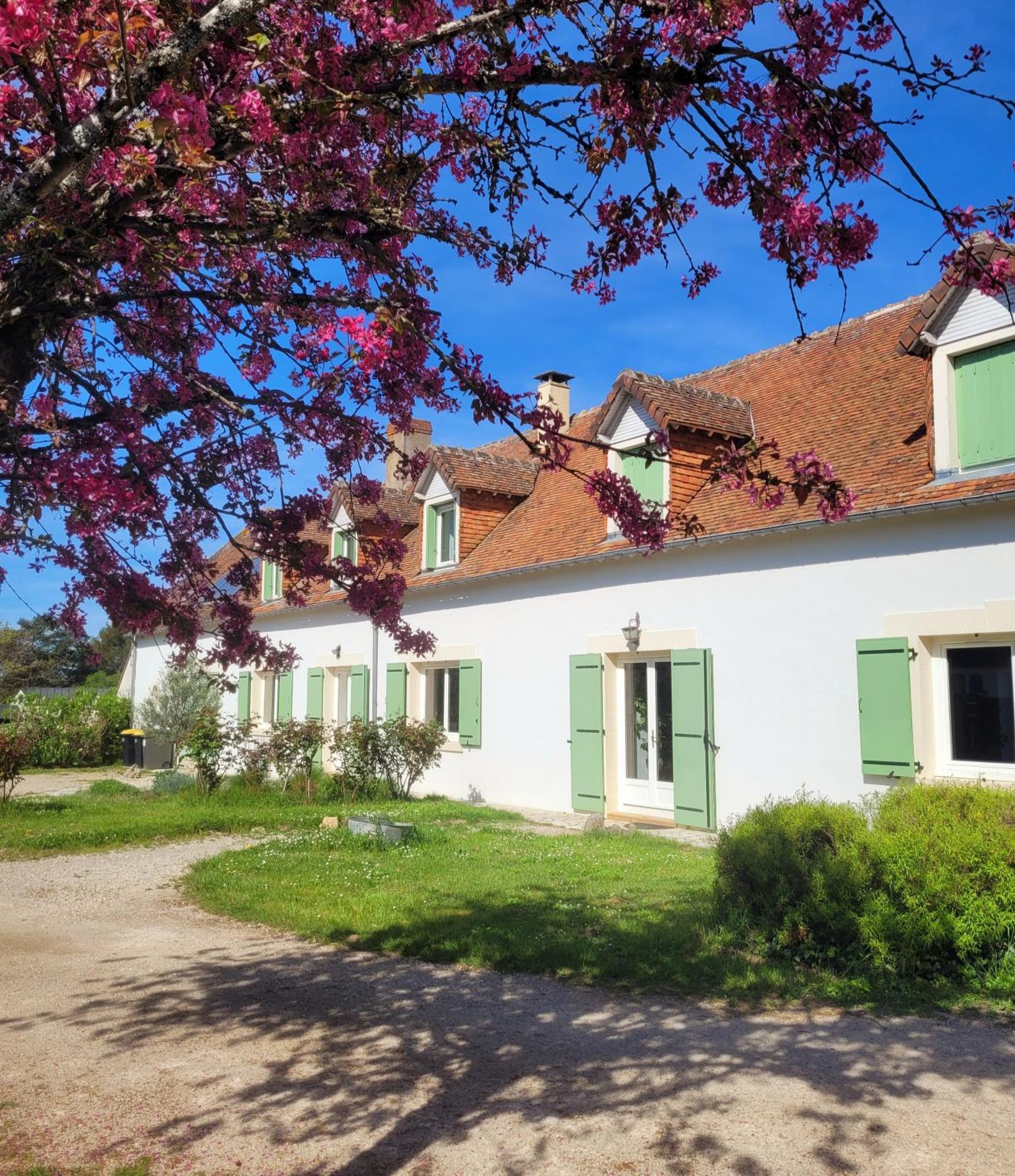 L Amalia Au Coeur Des Chateaux De La Loire Et Du Zoo De Beauval Sambin ภายนอก รูปภาพ